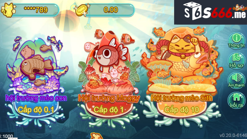 Cat Fishing S666 - Cách Tối Ưu Hóa Kỹ Thuật Và Thắng Lớn 2 Kỹ thuật chuẩn bị cho một buổi câu cá thành công