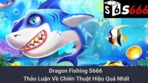 Dragon Fishing S666 - Thảo Luận Về Chiến Thuật Hiệu Quả Nhất