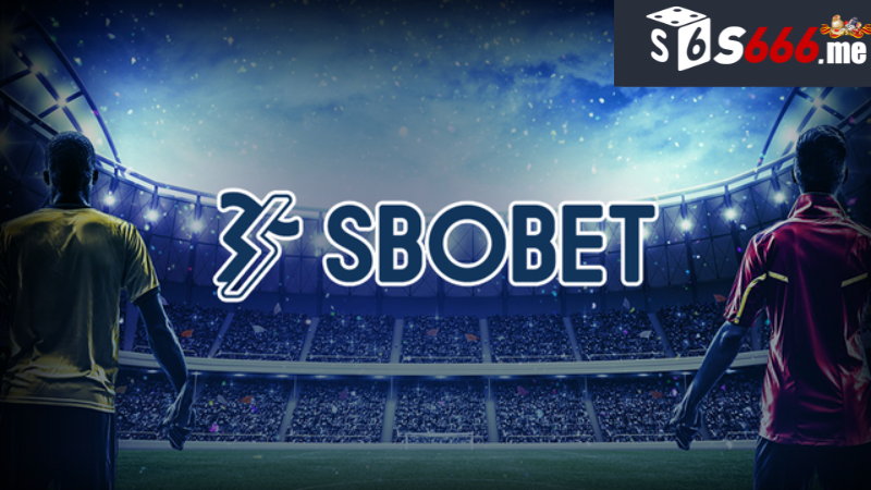 SBOBET Sports S666 - Xây Dựng Nền Tảng Vững Chắc Khi Cá Cược 2 Chiến lược cá cược hiệu quả tại SBOBET sports S666